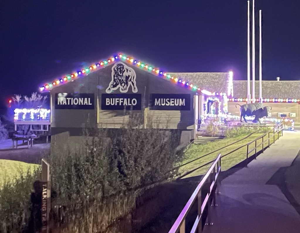 Christmas light installation project in Fargo, ND