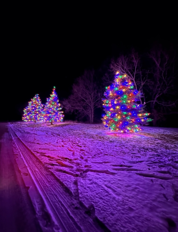 Custom wreaths and garland installation in Fargo, ND